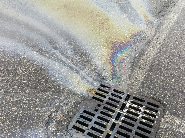 Environmental Audits and Surveys UK